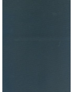 Vinytol 451 N