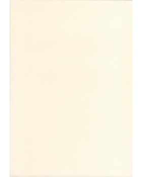 Vinyfol 619 