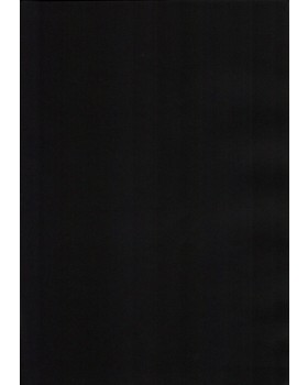 Vinytol 387 NAF